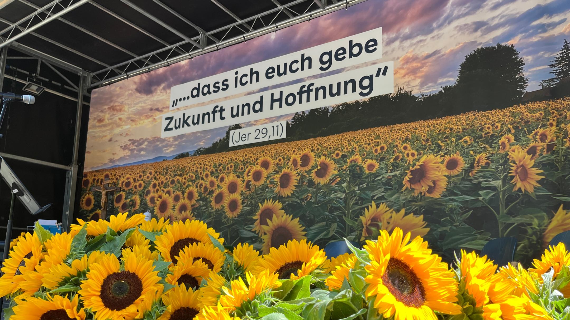Die Sonnenblumen sind als Hoffnungszeichen in Ahrbrück beim ersten Jahresgedenken verteilt worden.