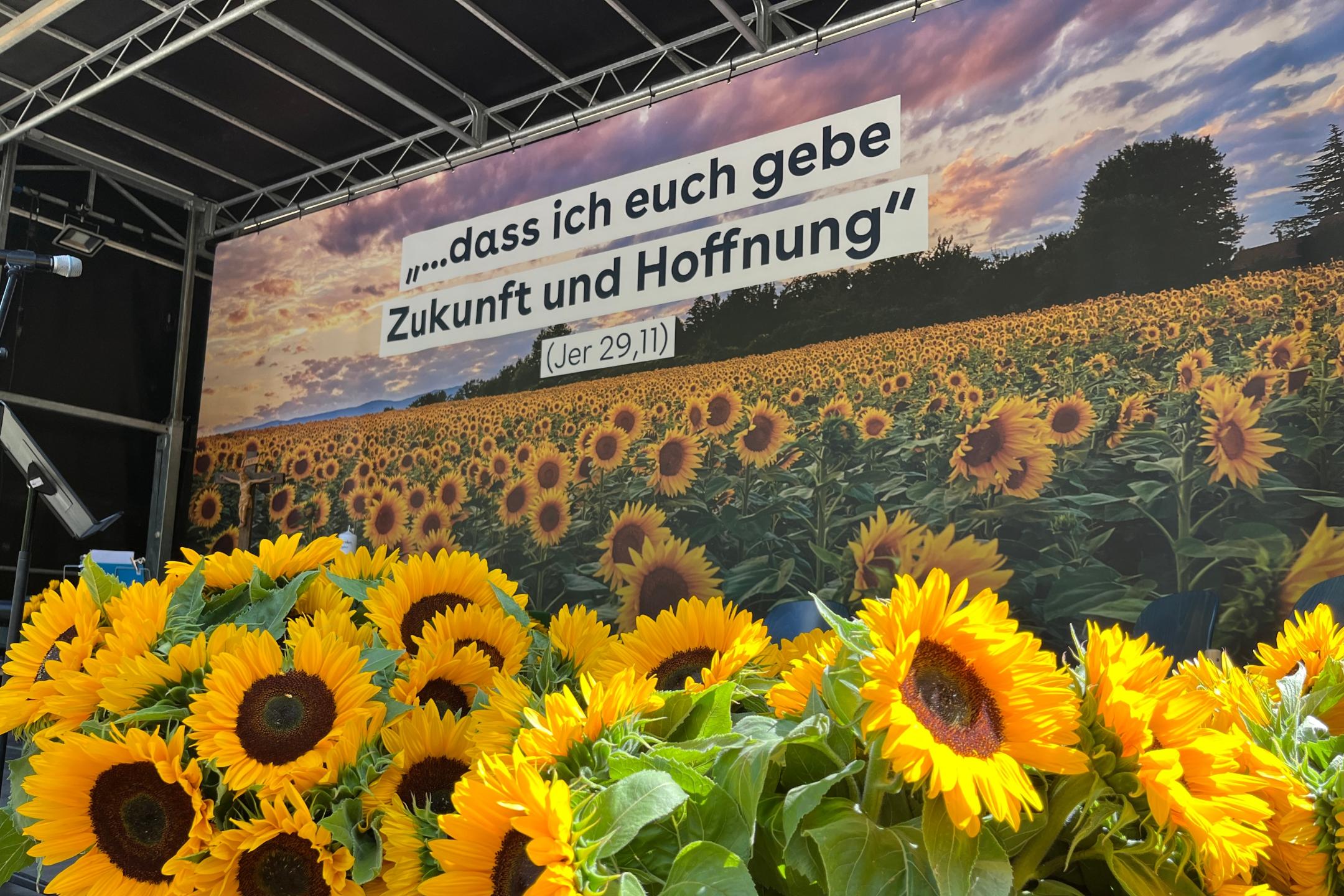 Die Sonnenblumen sind als Hoffnungszeichen in Ahrbrück beim ersten Jahresgedenken verteilt worden.